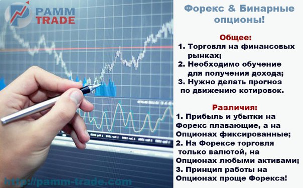 Binary отзывы